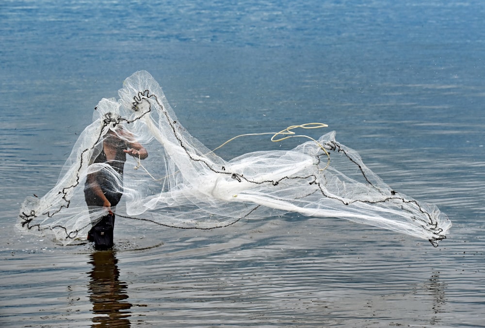 personne jetant un filet à poisson blanc sur un plan d’eau