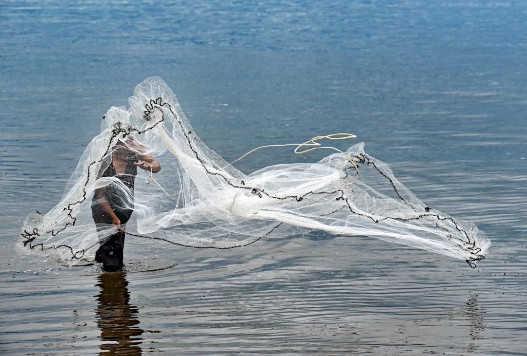 person throwing white fish net on body of water