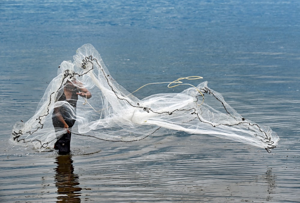 person throwing white fish net on body of water