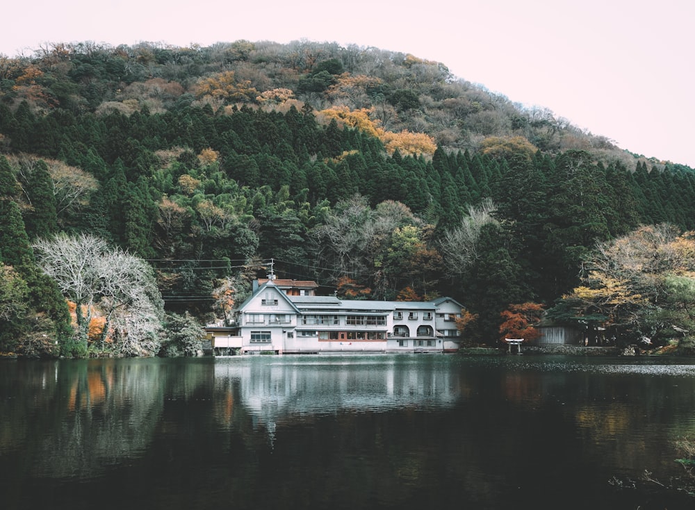 house beside body of water