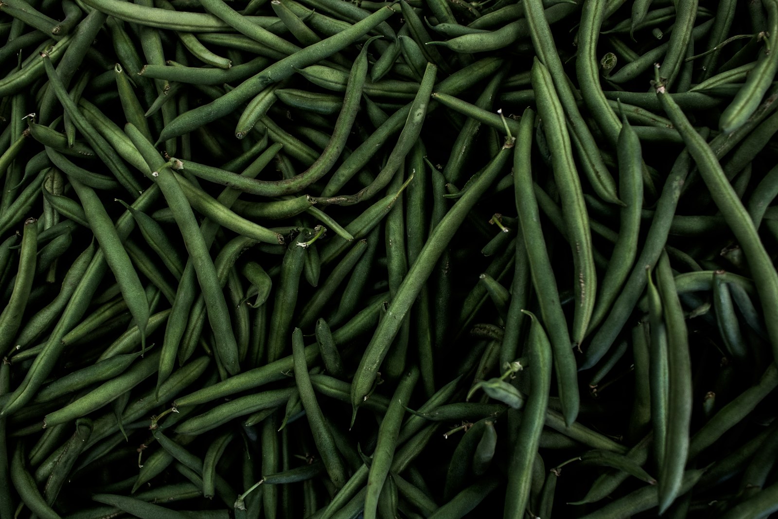 Canon EOS 750D (EOS Rebel T6i / EOS Kiss X8i) + Canon EF-S 24mm F2.8 STM sample photo. Green string beans photography