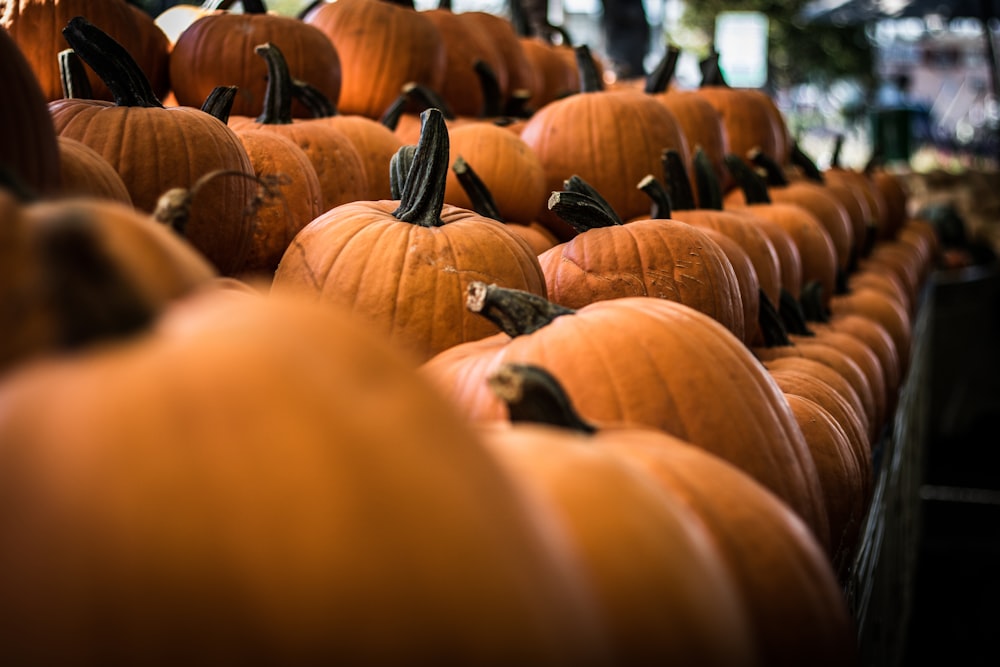 selective focus photography of pumpkin on shelf