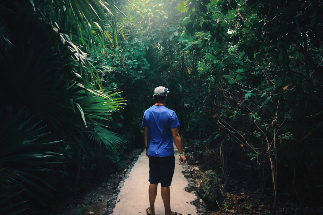 travelers stories about Jungle in Tulum, Mexico