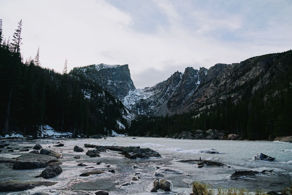 landscape photograph of river near woods and rocks