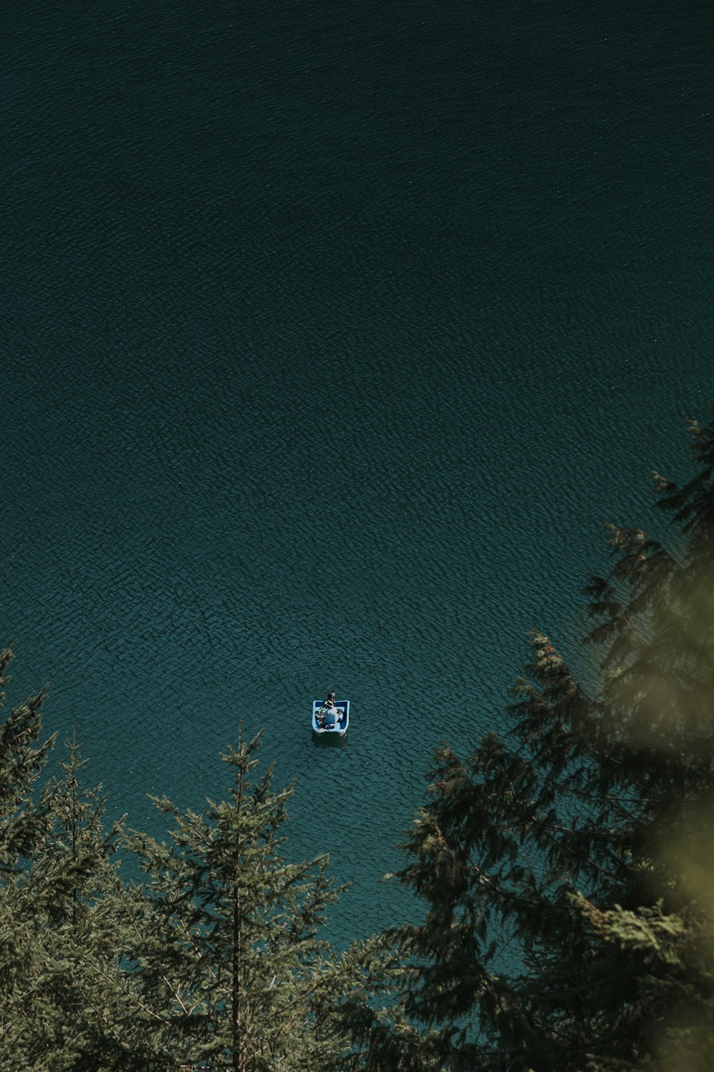 穏やかな水域でボートに乗った人の鳥瞰図
