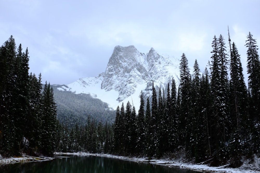 lake alps under blue sky at daytime