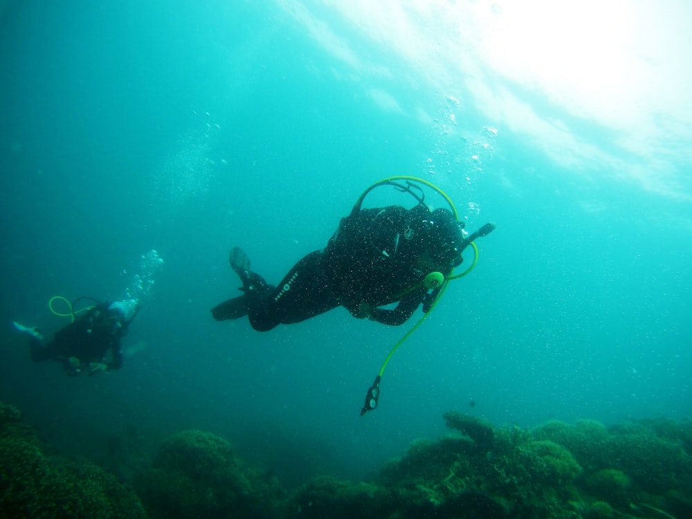 underwater photo of two divers