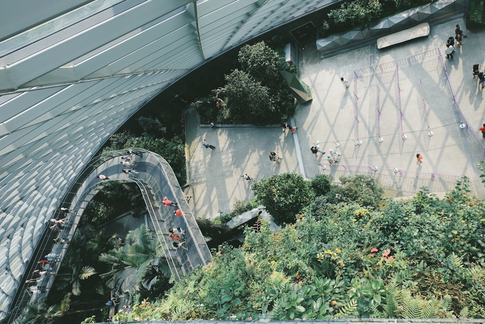 aerial view of people walking towards the building