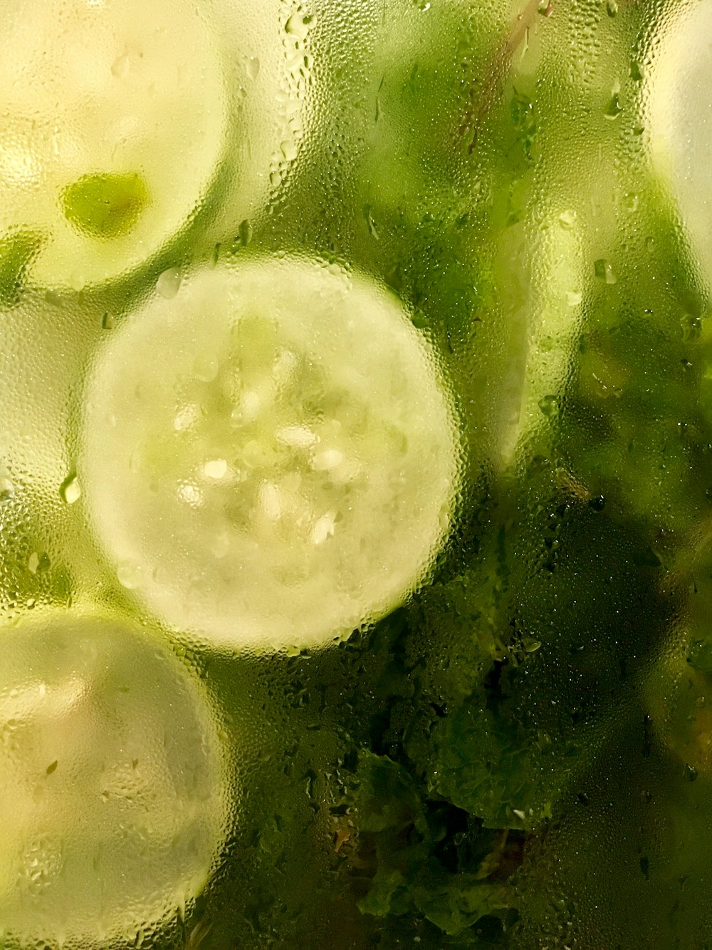 pepino fatiado e vegetais de folhas verdes em recipiente com umidade