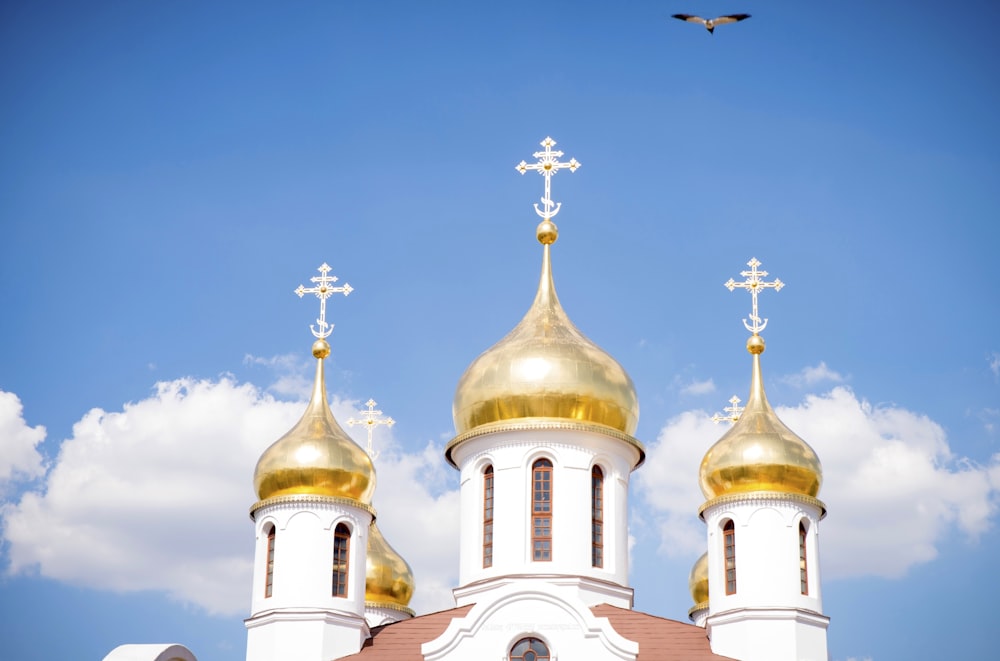 worms eye view photography of cathedral