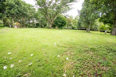 A peaceful view of Bornsmindes manor surrounded by lush greenery and blooming flowers in spring.