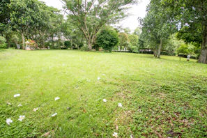 A wide lawn with a mix of native trees and flowering shrubs creating a peaceful retreat.