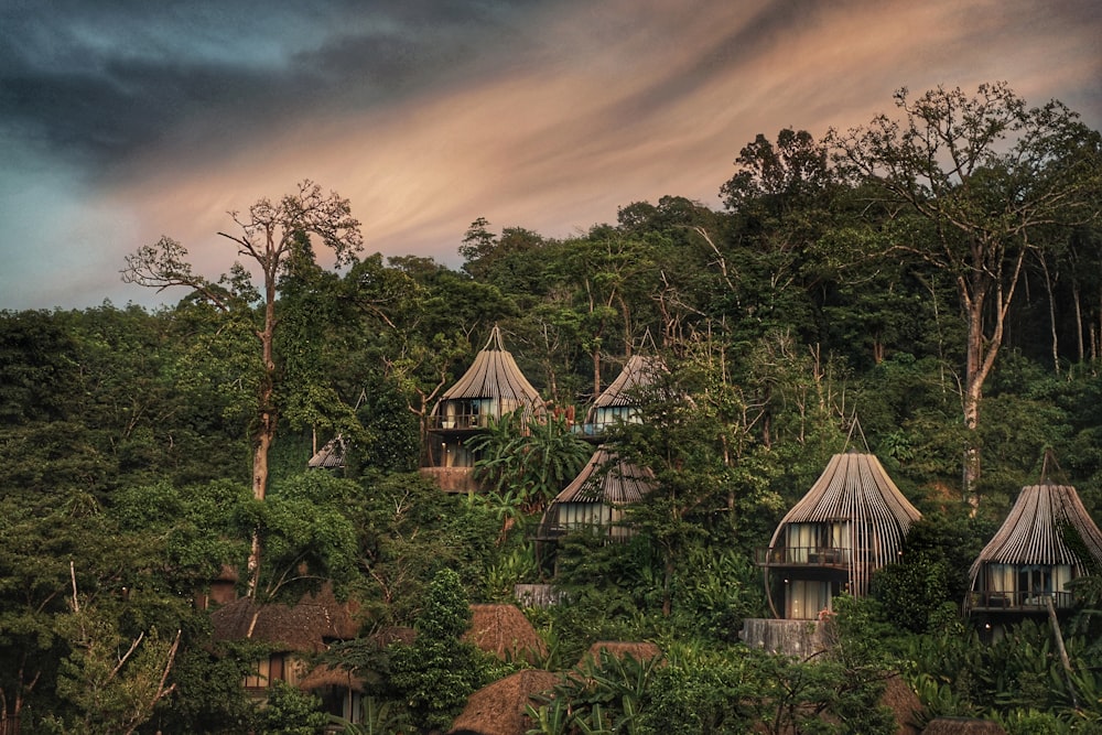 brown houses surrounded by trees