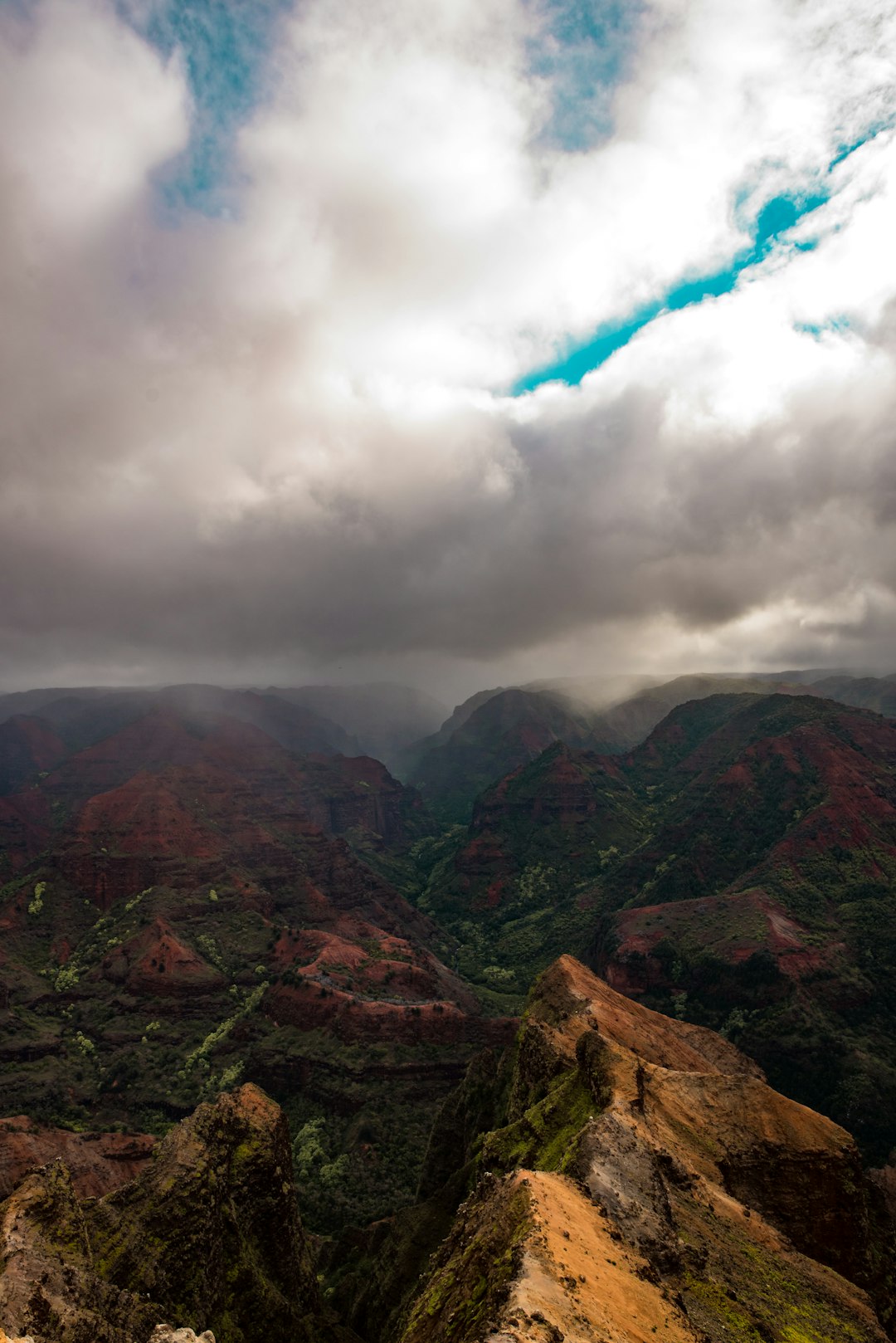 forest on mountain during cloudy day