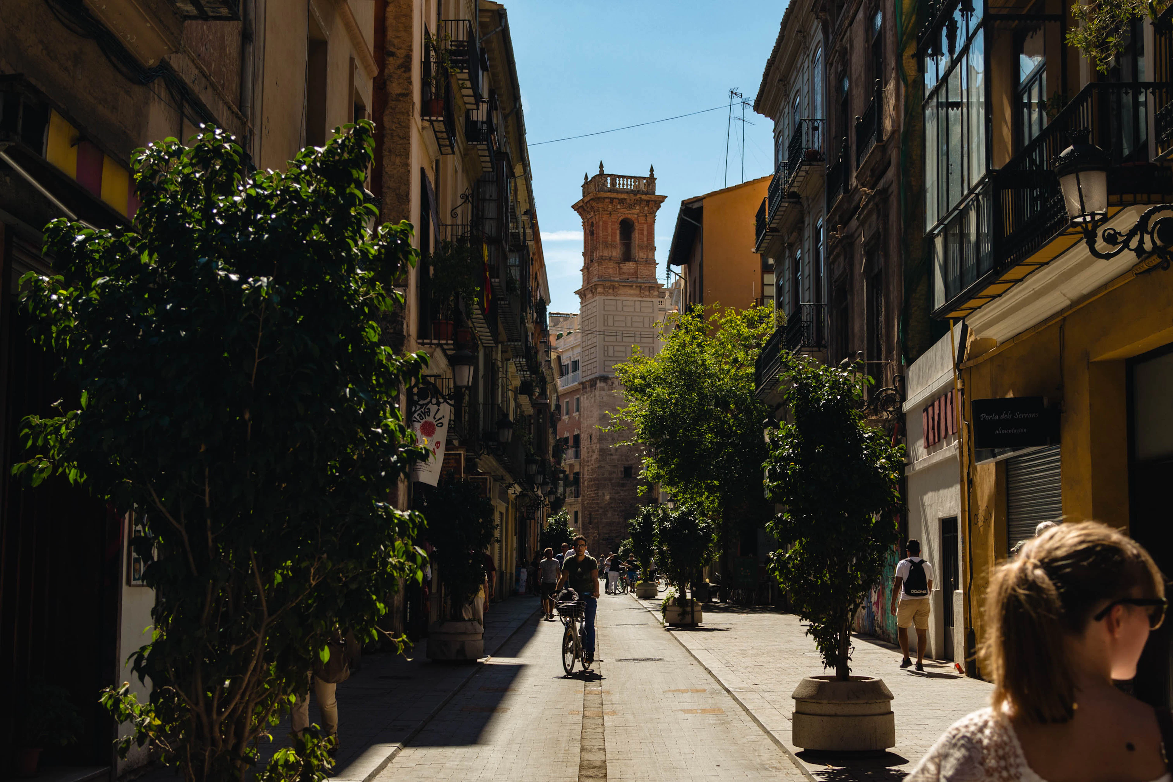 A narrow, sun-striped street in Valencia's old town lined with clipped orange trees and iron balconies, a cyclist freewheeling towards the brick bell tower of Santa Catalina.