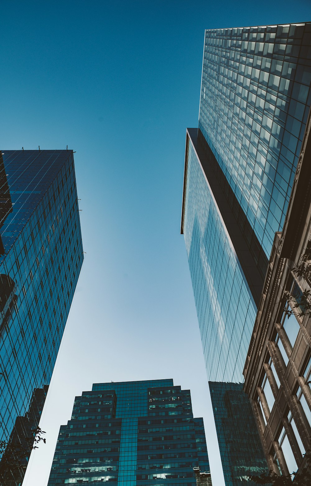 low angle photography of high-rise buildings under calm sky