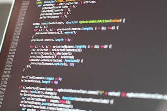 golang development