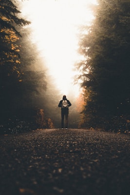 man person standing between tall trees