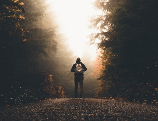 man person standing between tall trees