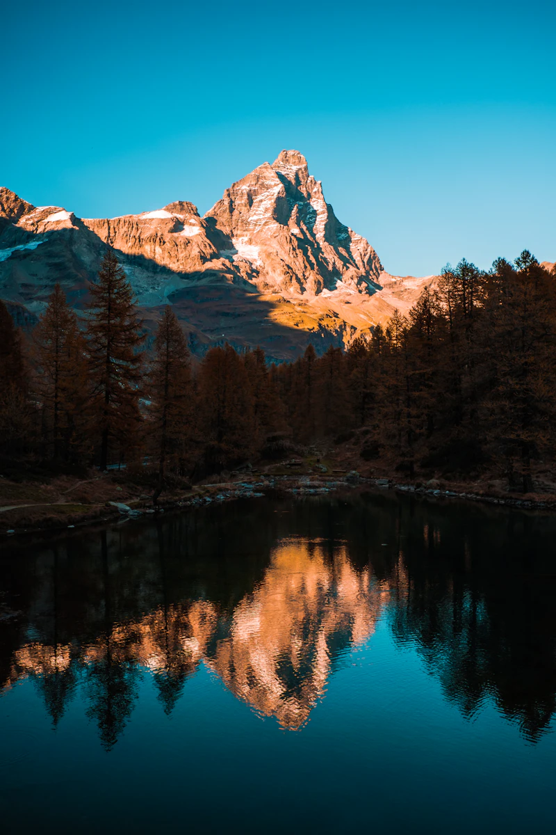 صورة جانبية 2