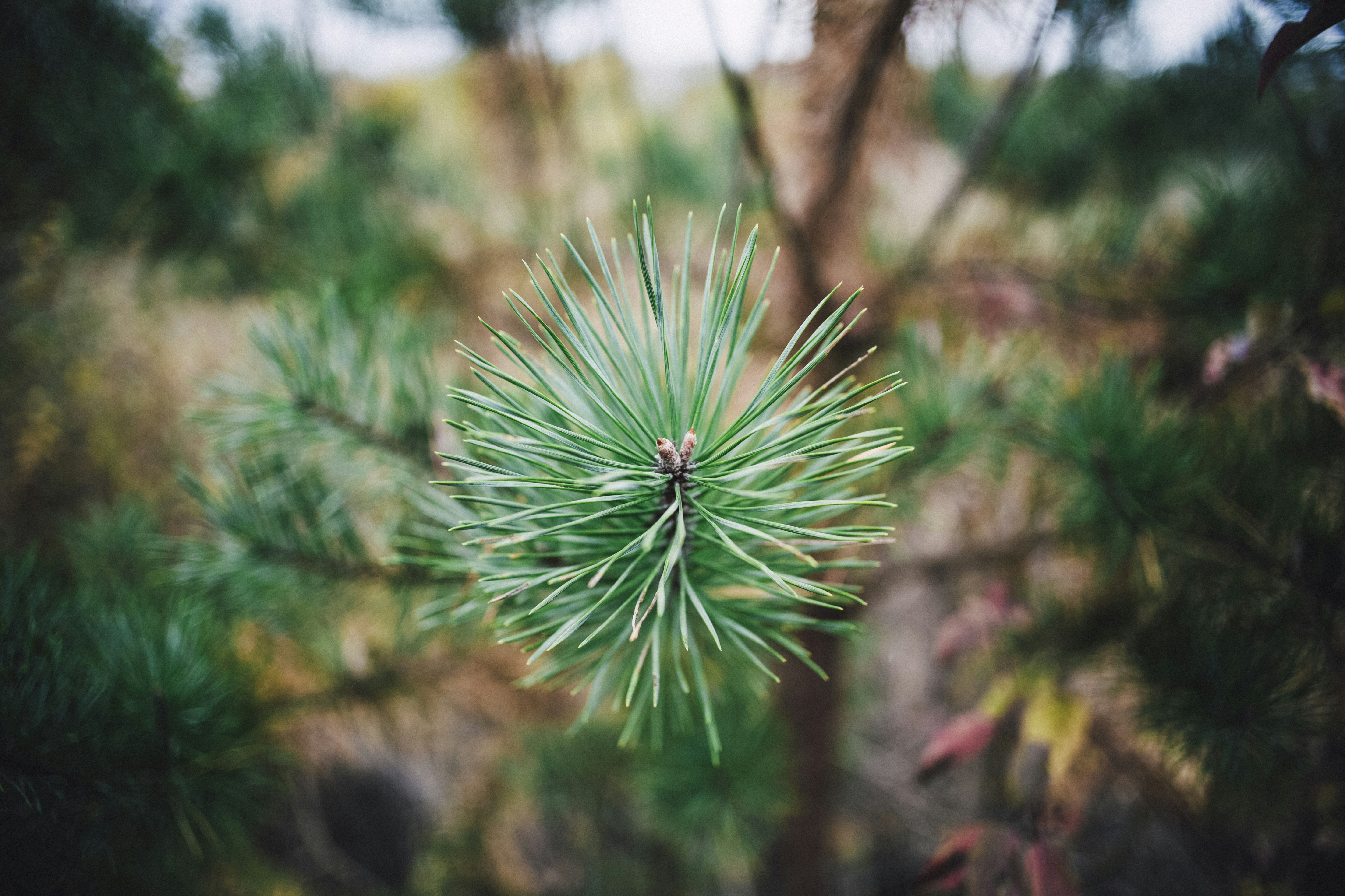 Photo by markusspiske