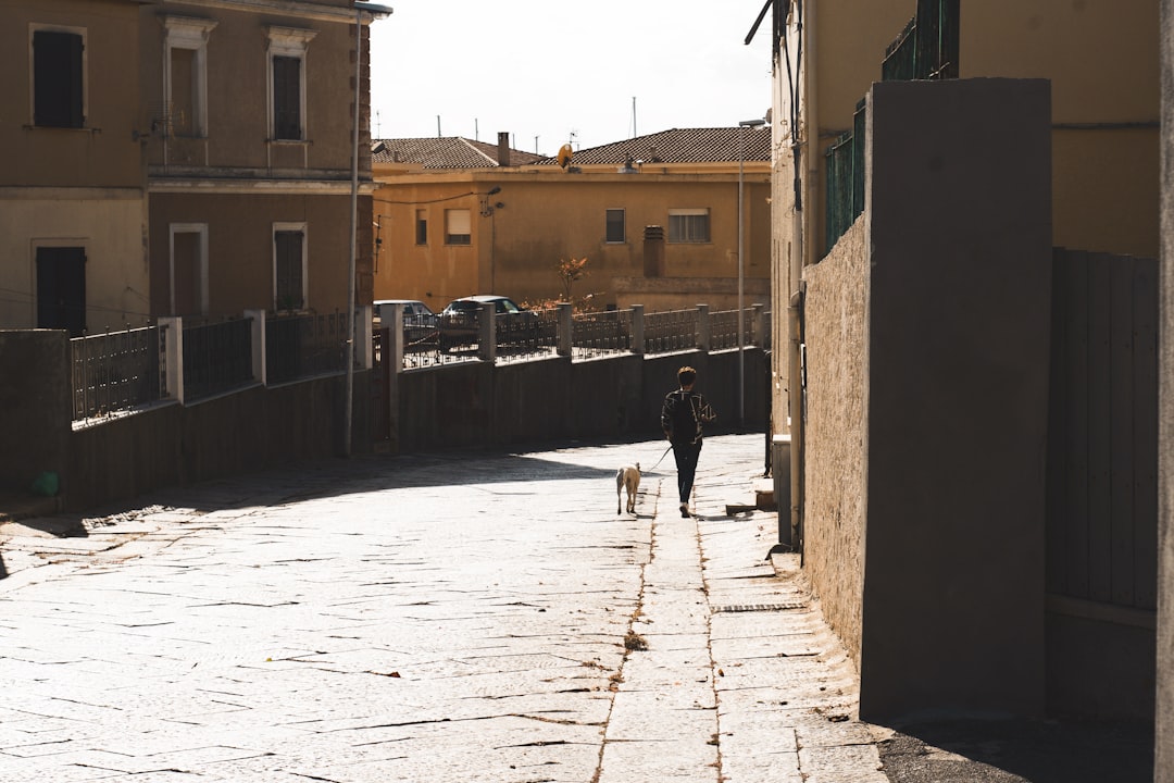 Town photo spot La Maddalena Golfo Aranci