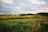 green field plains under cloudy sky