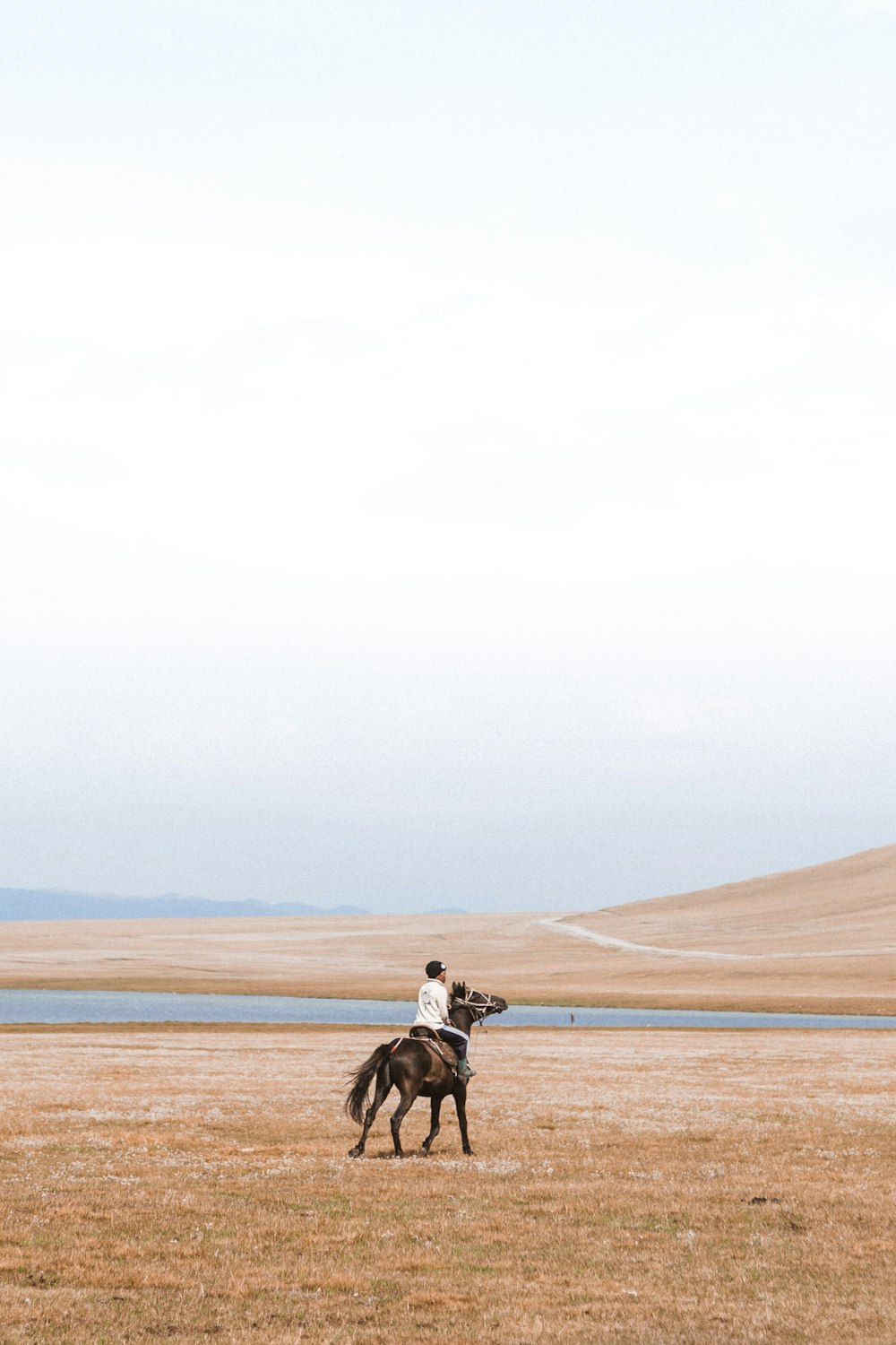man riding horse on grass field