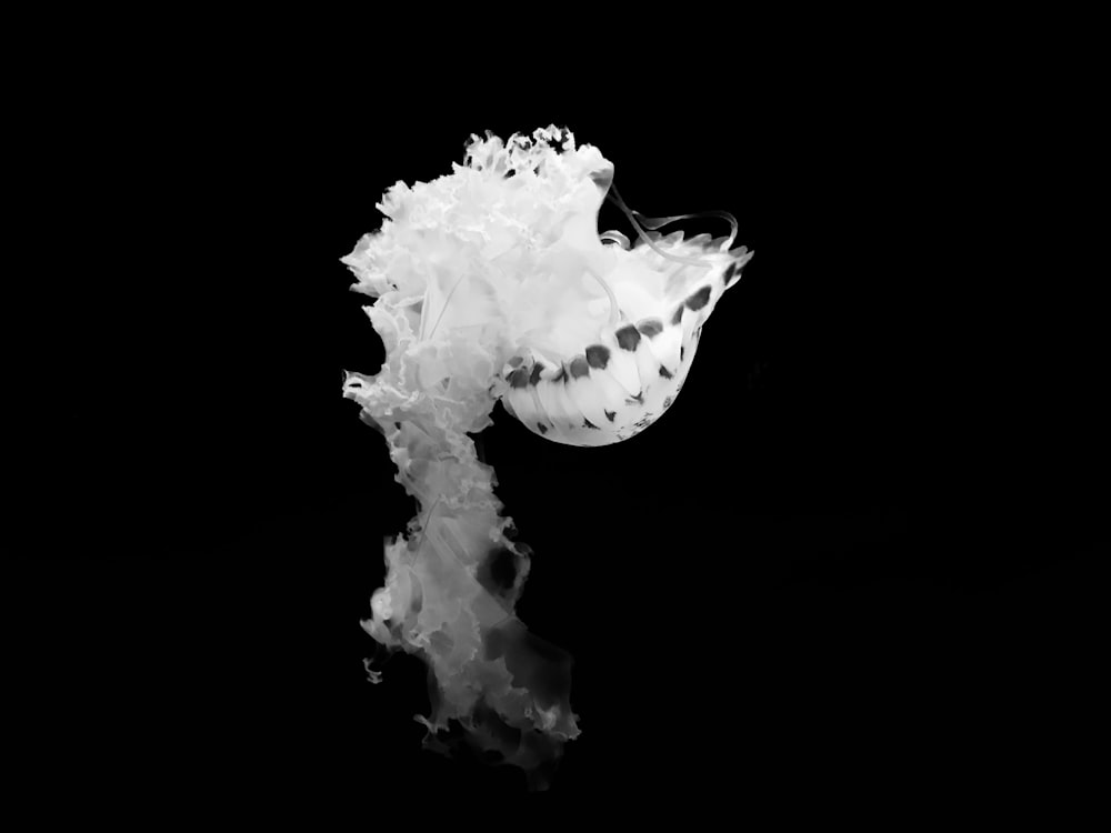 white smoke on black background