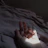 Close-up of hands resting gently on a soft cream fabric, bathed in warm light.