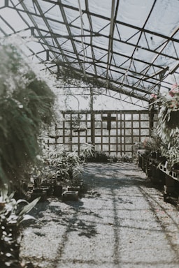 grayscale photography of greenhouse