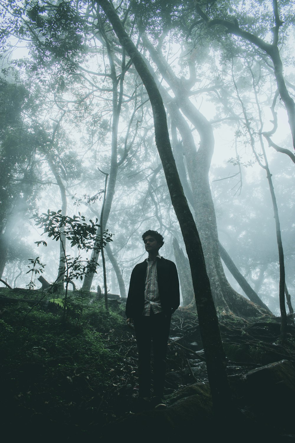 men standing on foggy forest at daytime