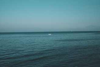 A serene ocean view with a small boat in the distance, ideal for whale watching.