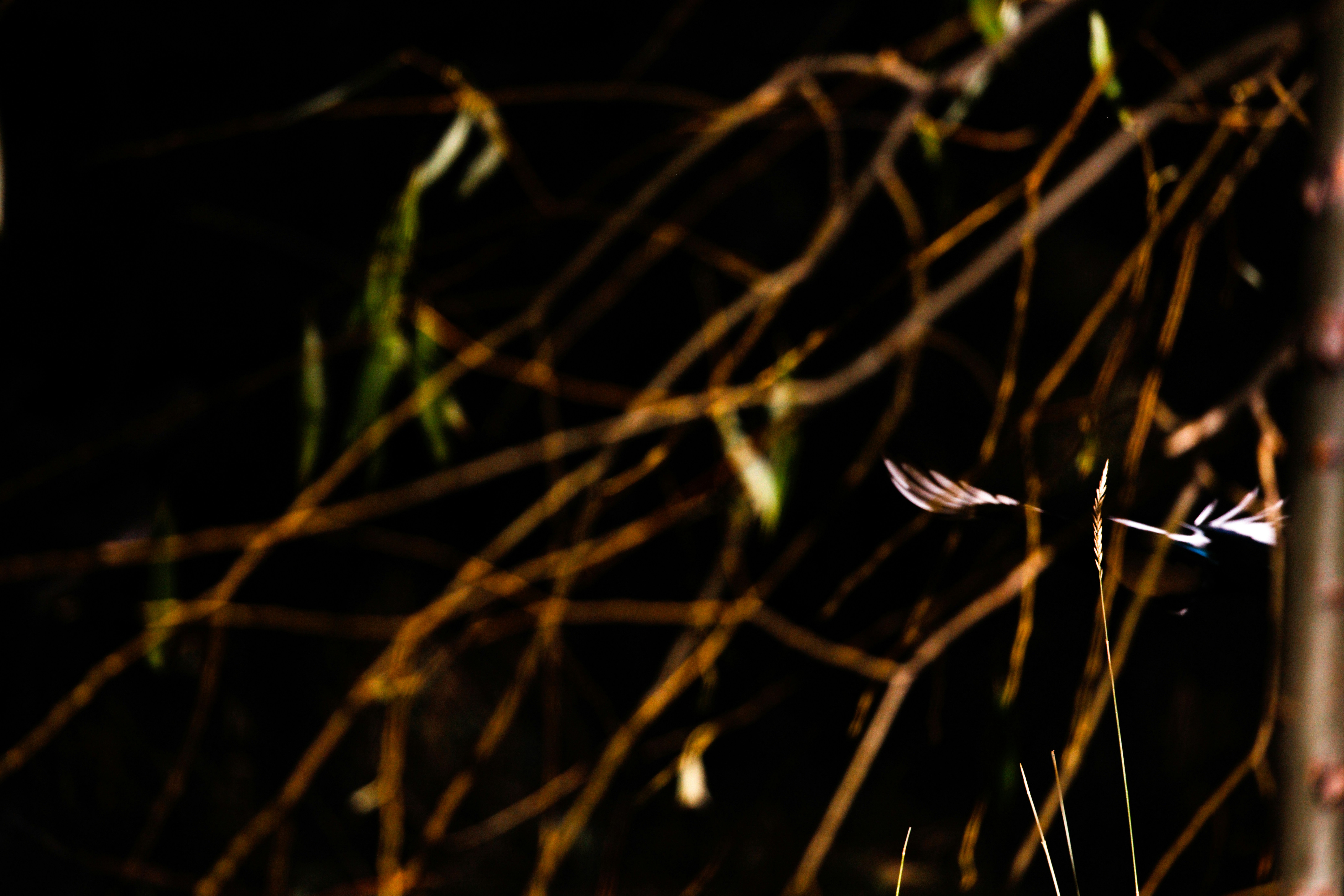 Photo by worldsbetweenlines