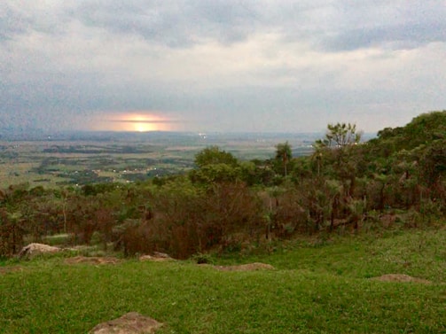 A scenic view of the lush Nile Delta fields stretching towards the horizon at sunset.