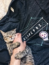 A tabby cat is playfully holding onto a person's hand. The hand and cat are resting on a dark fabric with a design featuring geometric lines and the text 'CLARIFAI'. There is also a colorful sticker with a skull logo nearby.