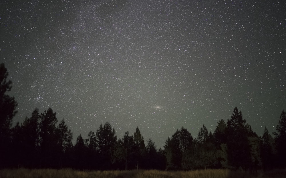 low angle of starry sky