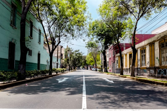 gray and white road beside houses during daytime in Barranco District Peru