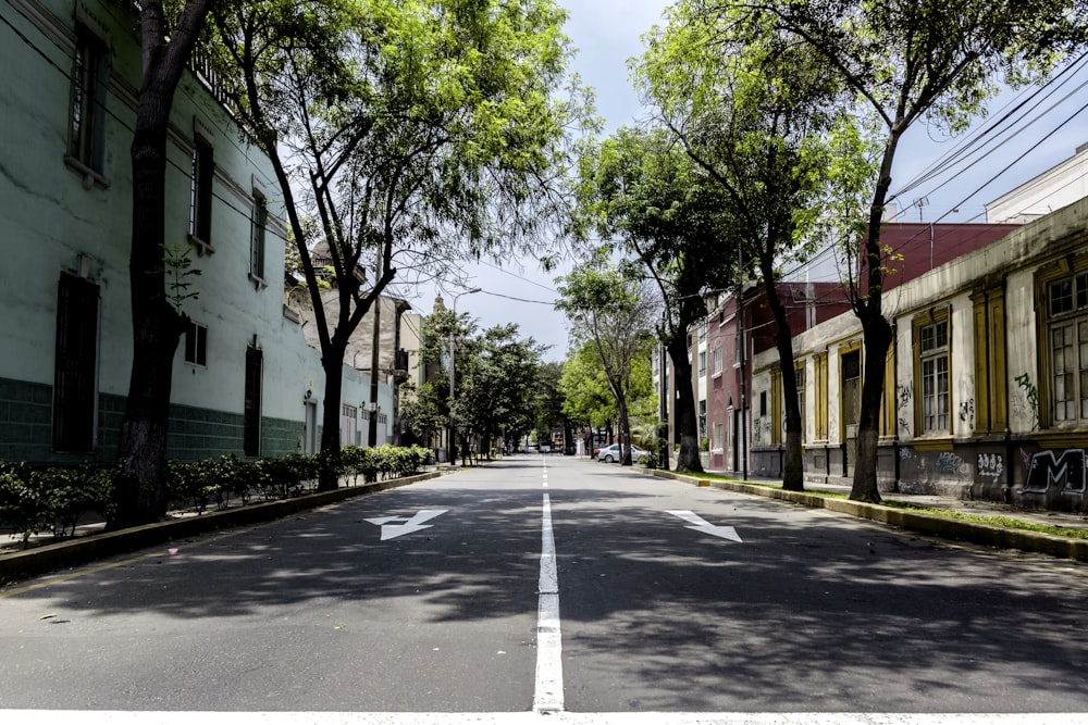 gray and white road beside houses during daytime