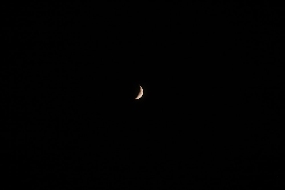 photograph of crescent moon