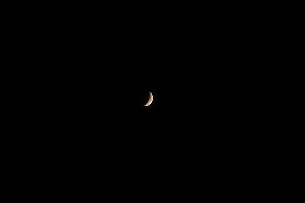 Photographie de croissant de lune