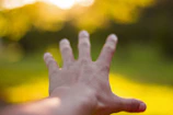 A blurred photo of a hand reaching out towards a glowing, elusive object.