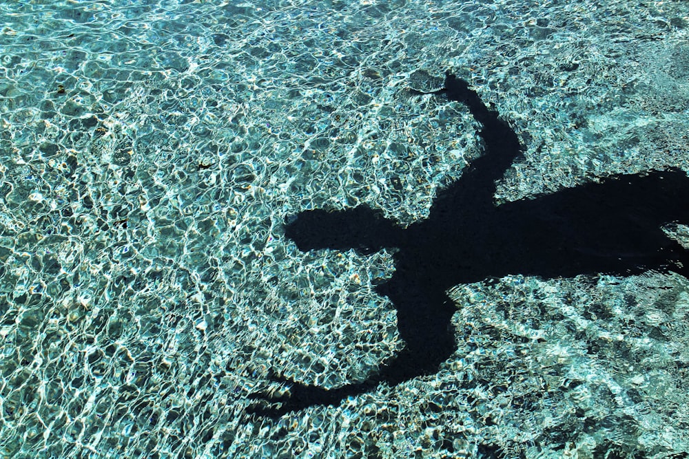 person's shadow reflecting on water