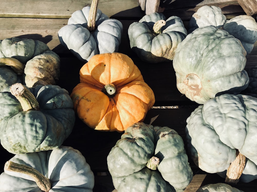 green and orange squash lot