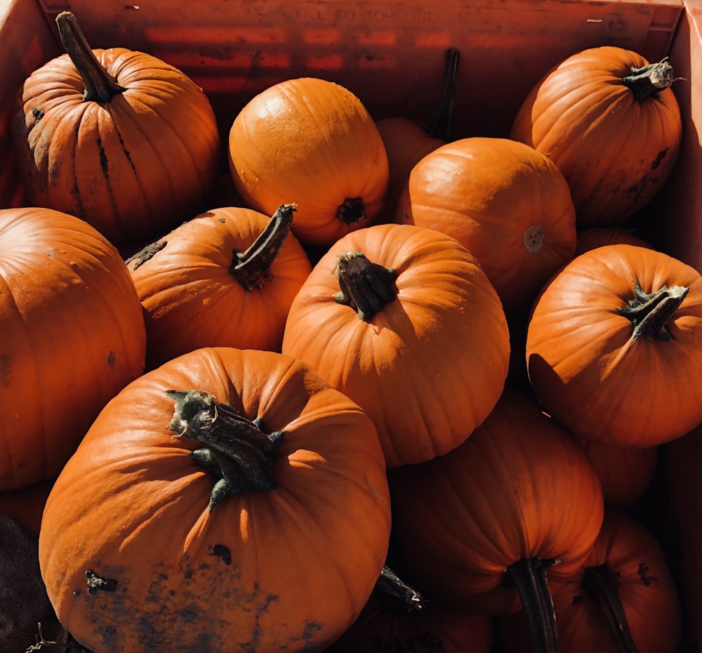 box of squash