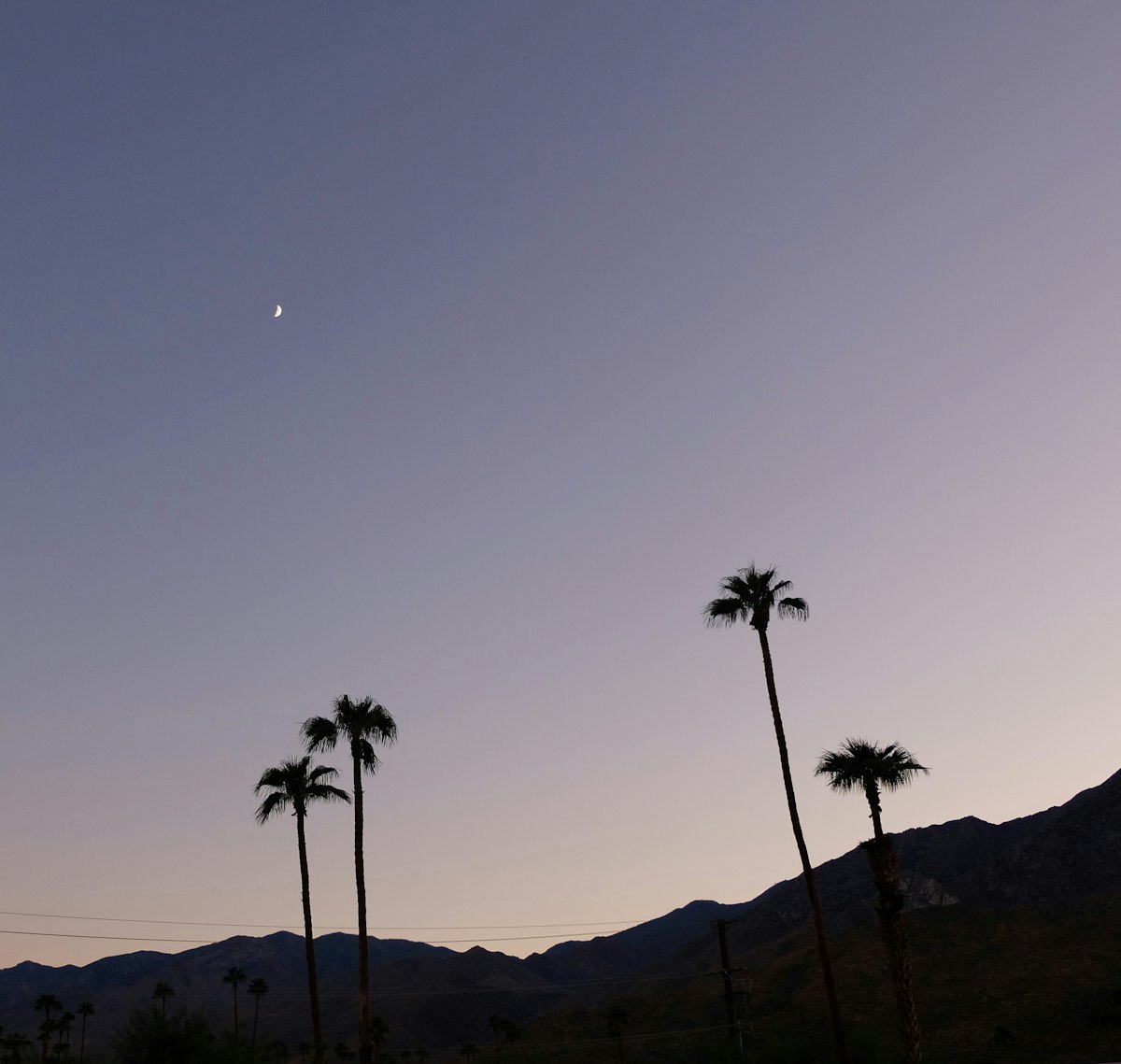 Fountain Hills neighborhood