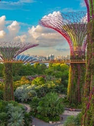 ShippingGuru Singapore