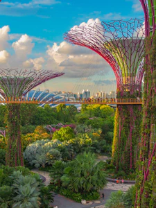 Marina Bay Sands Singapore rooftop infinity pool skyline