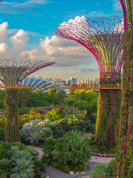 Gardens by the Bay 