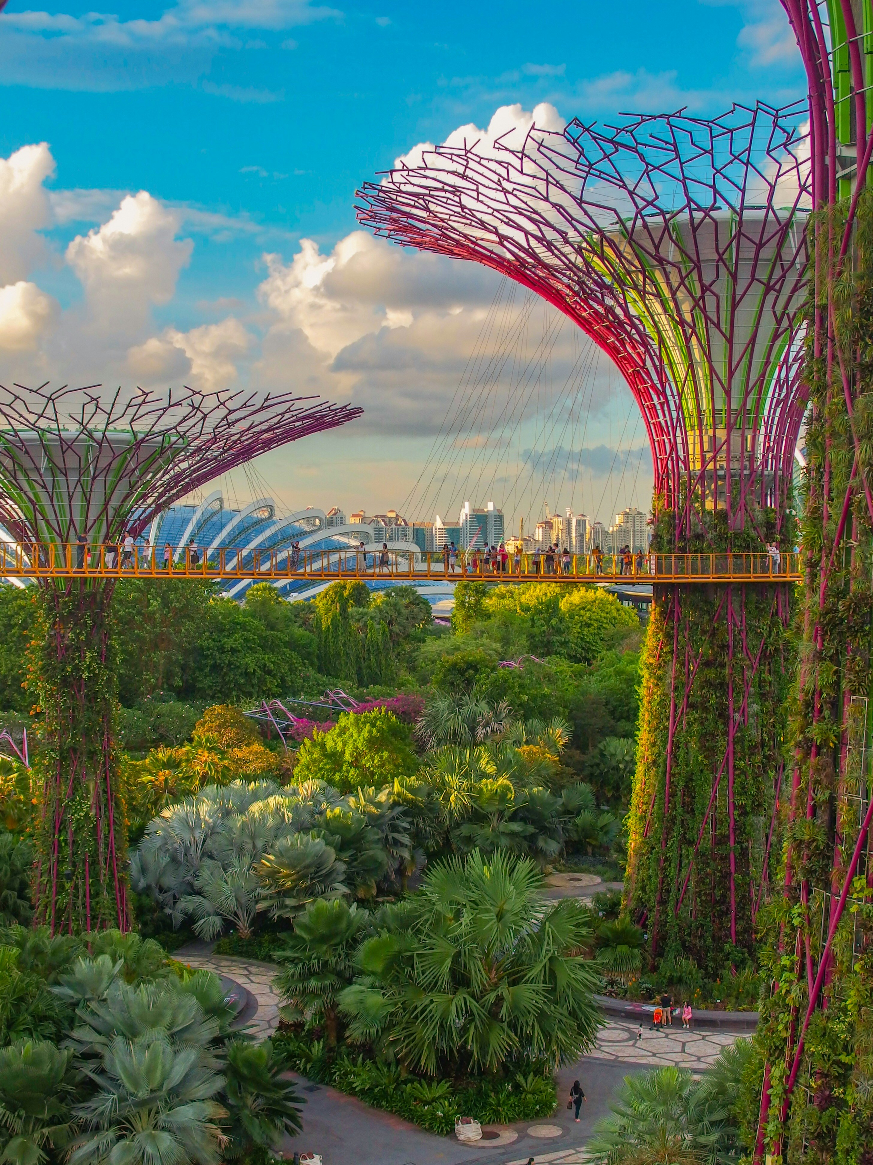 I was on a layover in Singapore and decided to visit the Super Tree Grove at Gardens by the Bay. I arrived in the late afternoon and the lighting was brilliant. This is taken from the walkway connecting the trees. Just an amazing site to visit, especially at sunset.